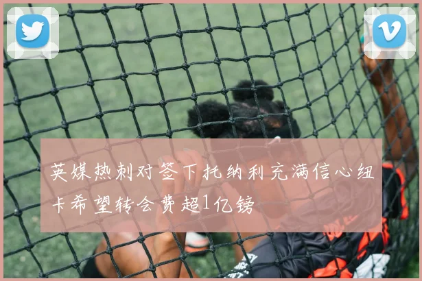 英媒热刺对签下托纳利充满信心纽卡希望转会费超1亿镑