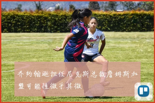 乔约翰逊担任尼克斯总裁詹姆斯加盟可能性微乎其微
