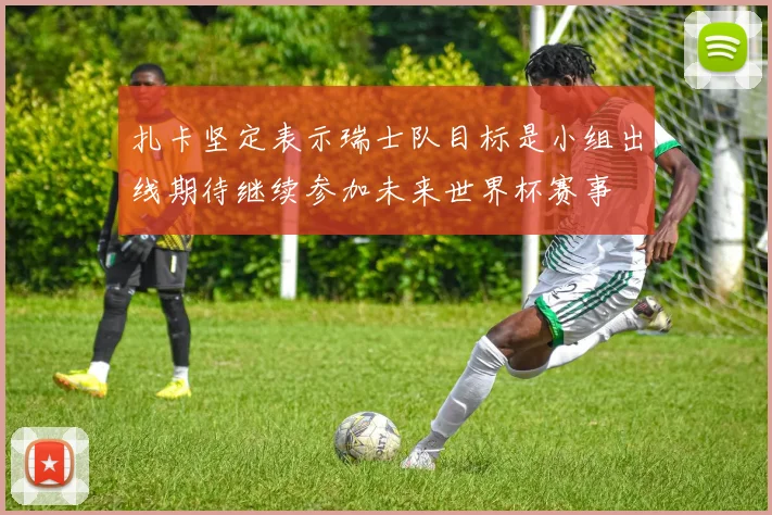 扎卡坚定表示瑞士队目标是小组出线期待继续参加未来世界杯赛事